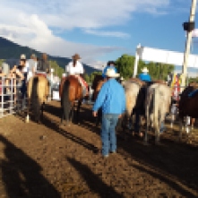 horse booty at the rodeo - you can see my shadow on the left